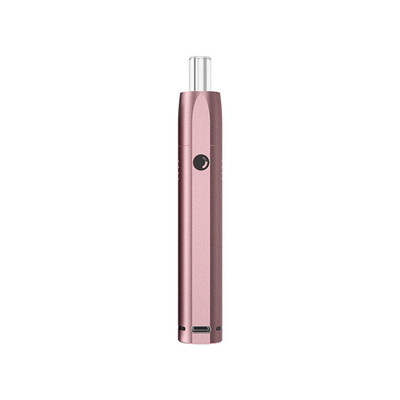 Quarz-Zerstäuber-Klecks Pen Coilless Concentrate Vaporizer Pen mit Glasmundstück